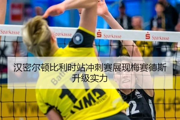 han-mi-er-dun-bi-li-shi-zhan-chong-ci-sai-zhan-xian-mei-sai-de-si-sheng-ji-shi-li-3-283.jpg