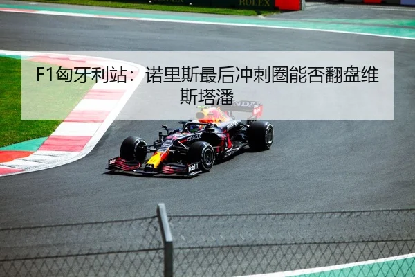F1匈牙利站：诺里斯最后冲刺圈能否翻盘维斯塔潘