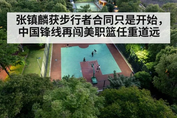 chinese basketball player