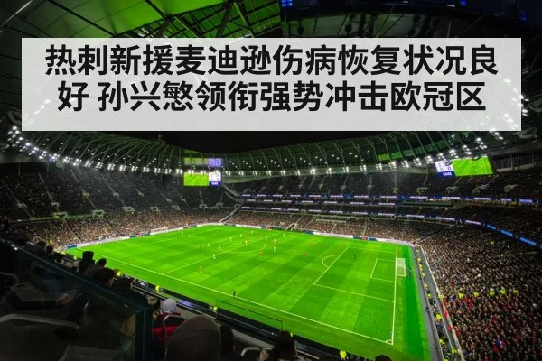 热刺新援麦迪逊伤病恢复状况良好 孙兴慜领衔强势冲击欧冠区