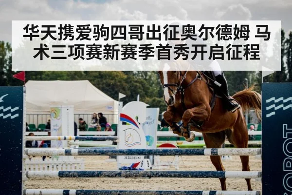 horse show jumping